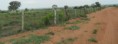 /album/fotos-importantes/fda-morangaba-1-lindo-2-jpg/